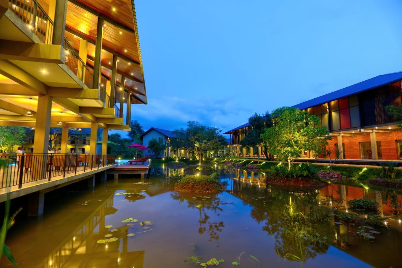 Tropical Life And Dambulla