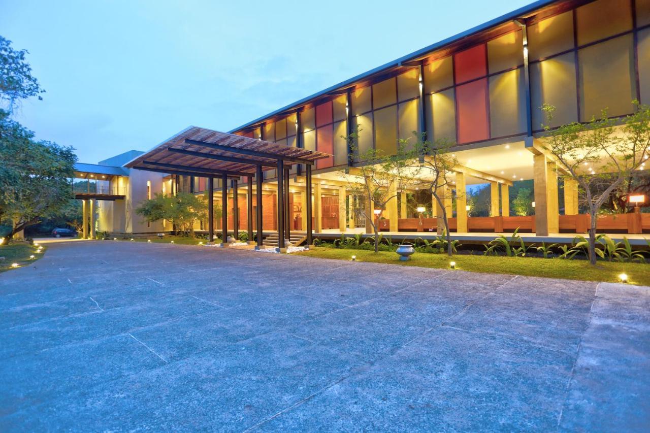 Tropical Life And Dambulla