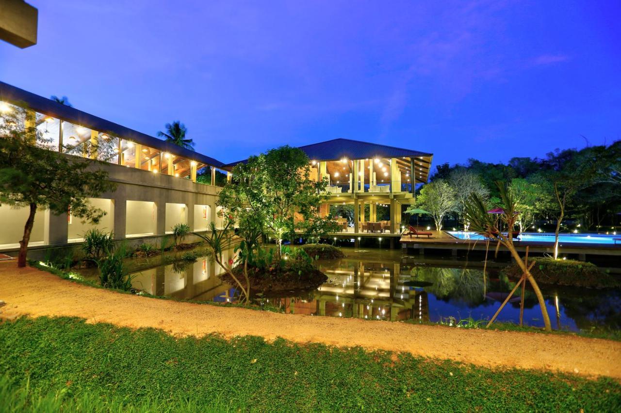 Tropical Life And