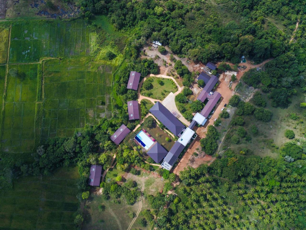 Tropical Life And Dambulla